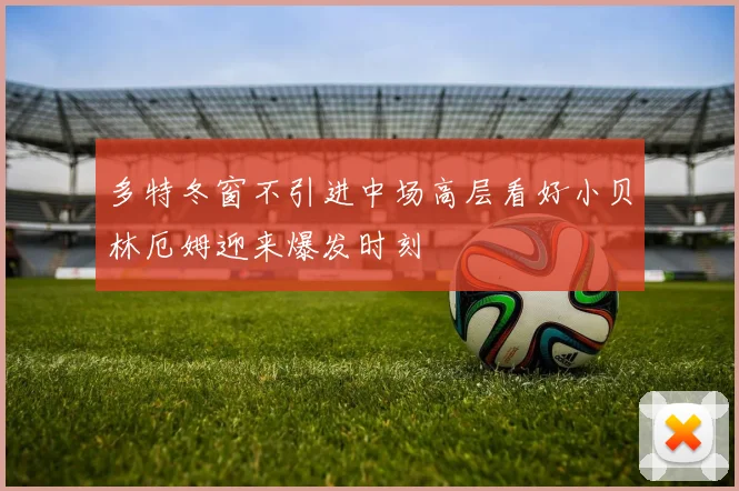 多特冬窗不引进中场高层看好小贝林厄姆迎来爆发时刻
