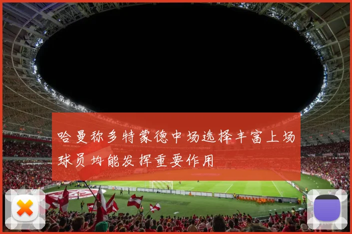 哈曼称多特蒙德中场选择丰富上场球员均能发挥重要作用