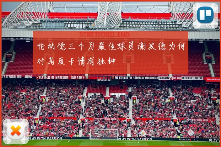 伦纳德三个月最佳球员谢泼德为何对乌度卡情有独钟