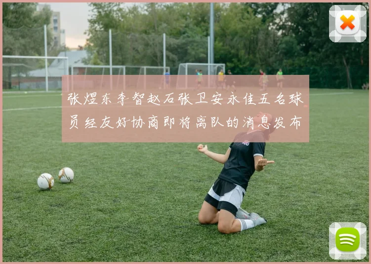 张煜东李智赵石张卫安永佳五名球员经友好协商即将离队的消息发布